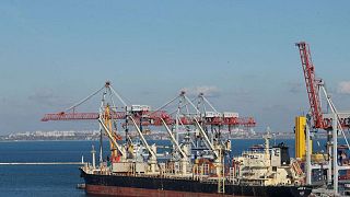 Ucrania dice que el grano de los barcos en los puertos bloqueados del mar Negro puede deteriorarse