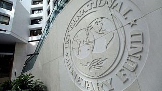 El FMI espera compromisos "significativos" para el nuevo fideicomiso sobre el clima y las pandemias