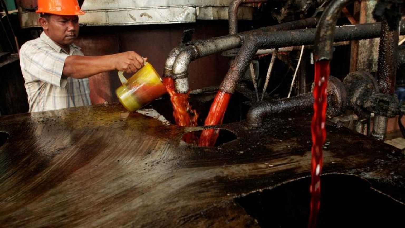 Indonesia launches corruption case over palm oil exports