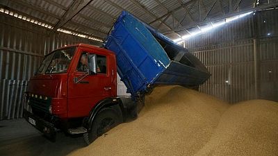 Ukraine grain storage shortage adds to farmers' woes