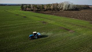 La siembra de la cosecha de primavera de 2022 en Ucrania se ha completado en casi un tercio