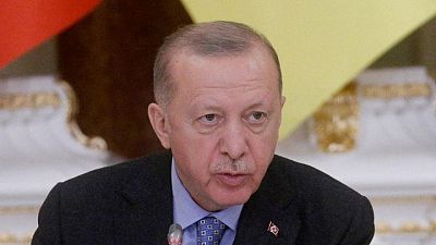 Erdogan says plans calls with Putin, Zelenskiy for leaders' meeting
