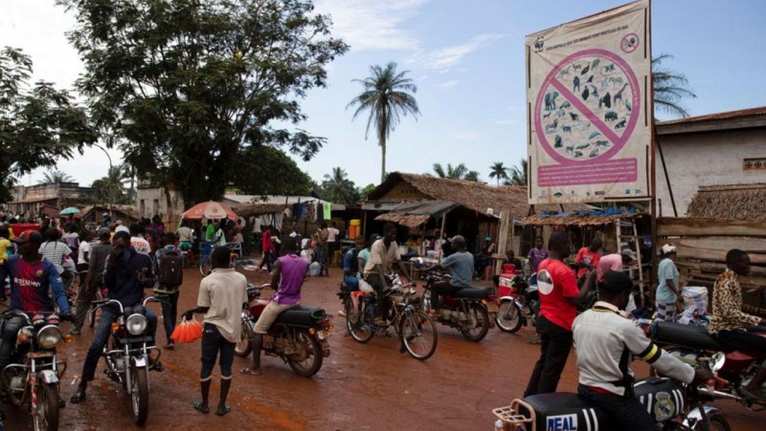 New Ebola case confirmed in northwestern Congo, lab report says