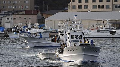 Se confirma la muerte de 10 personas en barco japonés desaparecido, continúa la búsqueda