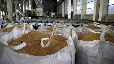 China suspende subastas de reservas de trigo antes de la nueva cosecha