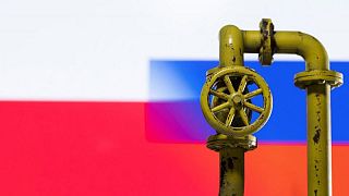 Polonia dice que hay que penalizar a los países que pagan el gas ruso en rublos Polonia dice que hay que penalizar a los países que pagan el gas ruso en rublos
