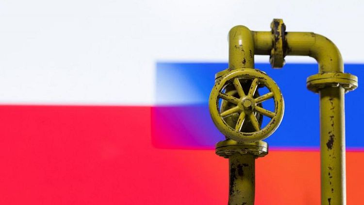 Polonia dice que hay que penalizar a los países que pagan el gas ruso en rublos