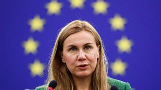 مسؤولة: الاتحاد الأوروبي سيكشف عن خطة لاستبدال ثلثي الغاز الروسي هذا العام