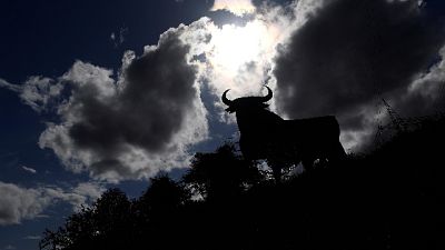 L'animale lo ha caricato e colpito al volto L'animale lo ha caricato e colpito al volto