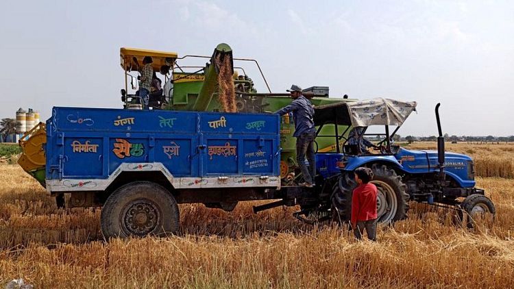 الهند تقول إن حظر صادرات القمح يستهدف التجارة غير المنظمة