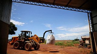 Brasil planea viaje de "diplomacia de fertilizantes" a África y Jordania para asegurar importaciones