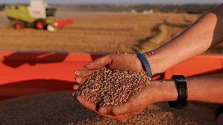 صادرات الاتحاد الأوروبي من القمح للموسم الحالي 21.95 مليون طن بحلول أول مايو