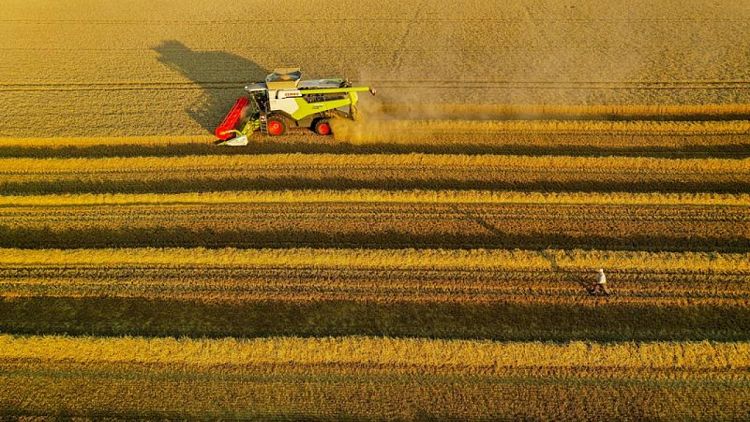 Desde trigo a viñedos: Agricultores franceses e italianos calculan daños de tormentas, granizo y sequía
