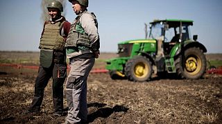 Ucrania tiene suficientes reservas de granos para alimentar a la población: viceministro
