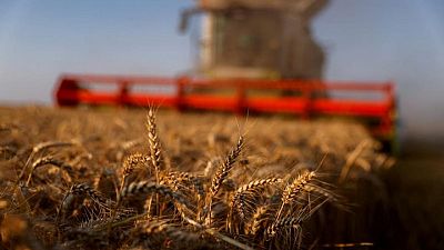 Los precios de los alimentos caen ligeramente en abril tras un aumento récord, según la FAO