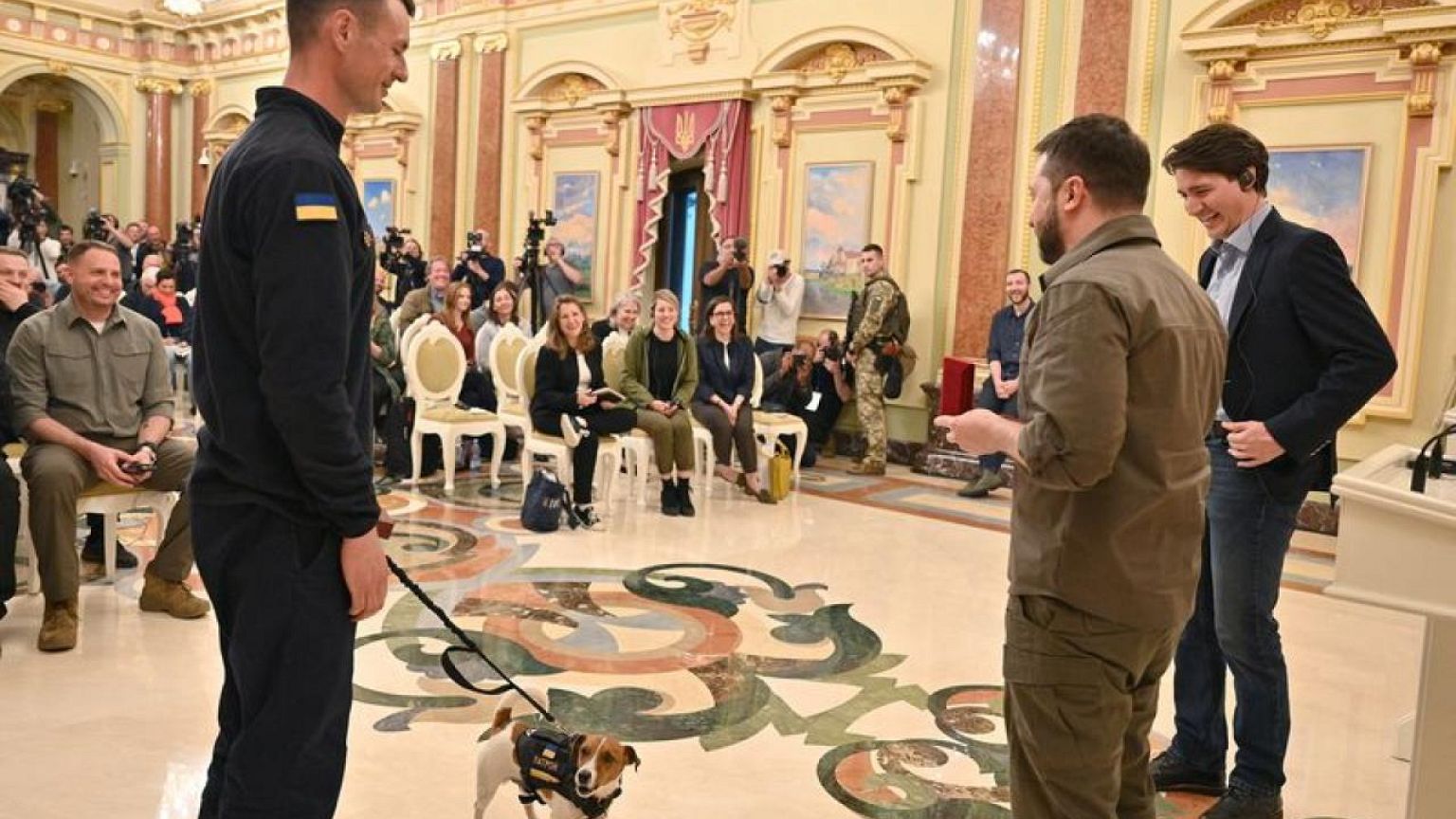 Ukraine's mine sniffing dog Patron awarded medal by Zelenskiy