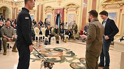 Ukraine's mine sniffing dog Patron awarded medal by Zelenskiy