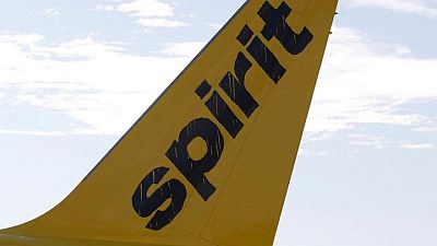 Sun Country CEO says airline merger talks good for consumers