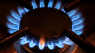 German households will be prioritised in gas supply emergency -regulator