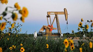 إدارة معلومات الطاقة: إنتاج النفط الأمريكي سيرتفع 720 ألف ب/ي في 2022