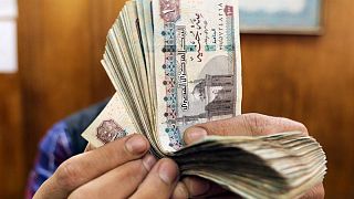 الجنيه المصري يواصل التراجع أمام الدولار بعد التعهد بسعر صرف مرن الجنيه المصري يواصل التراجع أمام الدولار بعد التعهد بسعر صرف مرن