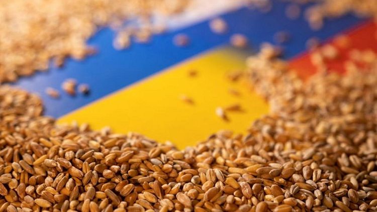 EU moves to help Ukraine export grain as Russia blocks sea routes