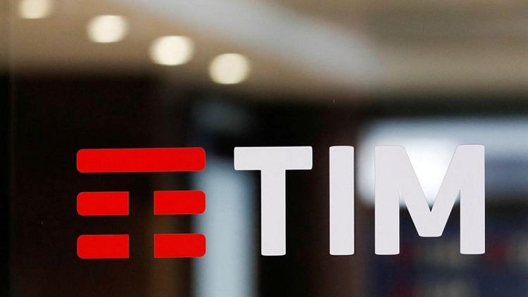 TIM values landline grid about 20 billion euros in single broadband deal, sources say