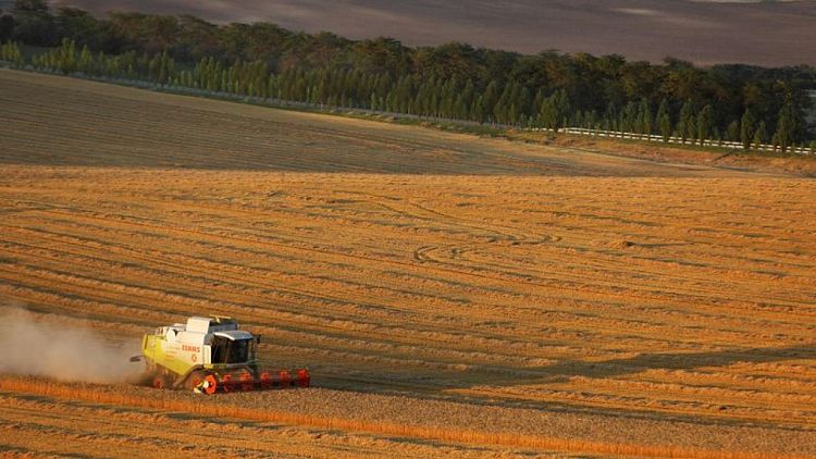 EEUU dice que no hay interrupción de las exportaciones rusas de alimentos y fertilizantes