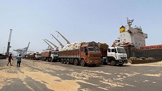 India autorizará envíos de trigo en espera de despacho de aduana