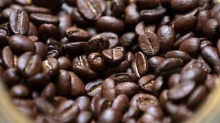 Demanda de café aumenta, pero todavía no alcanza los niveles anteriores a la pandemia: reporte