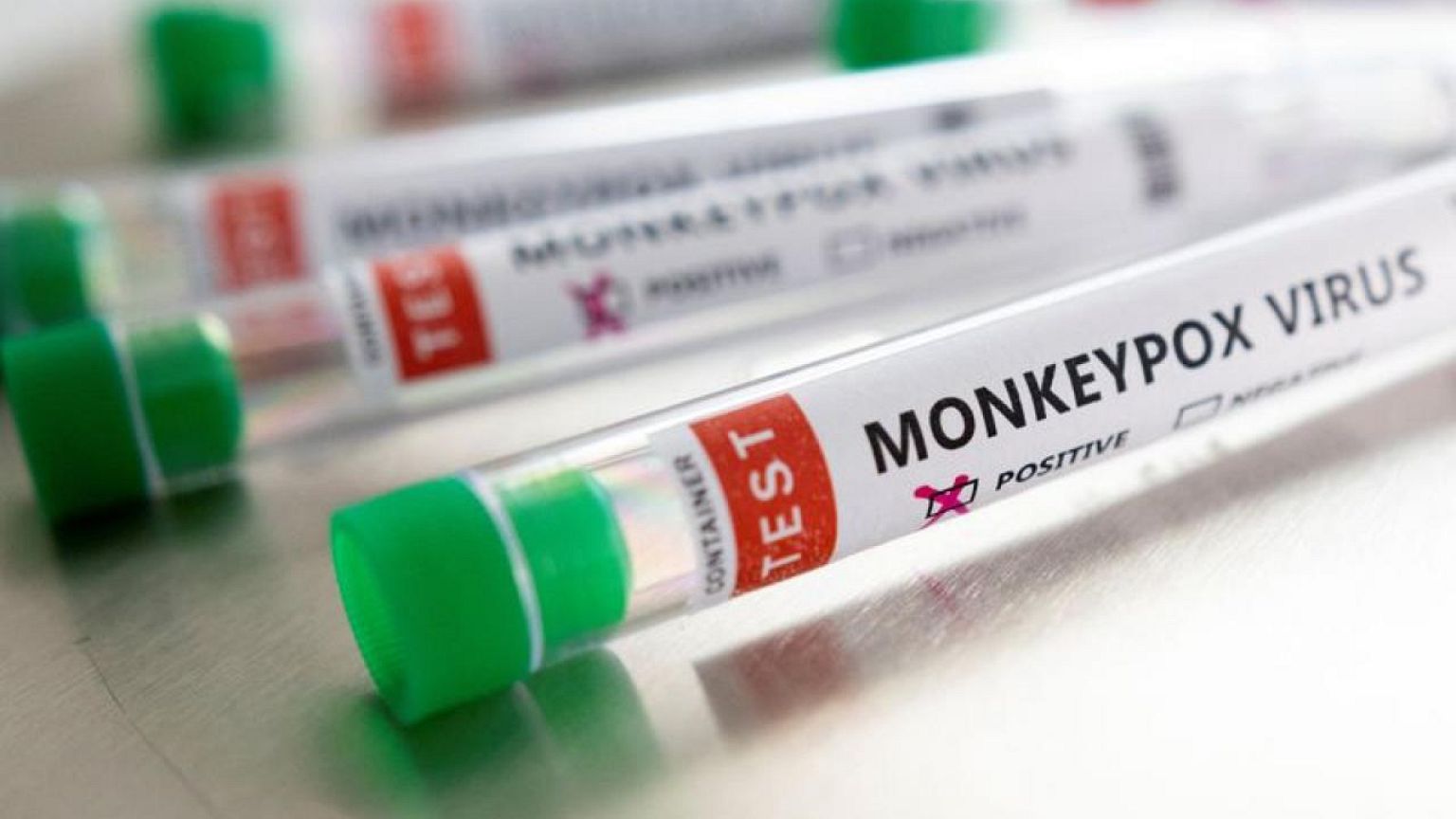 Portugal informa de 14 nuevos casos confirmados de viruela del mono, con un total de 37