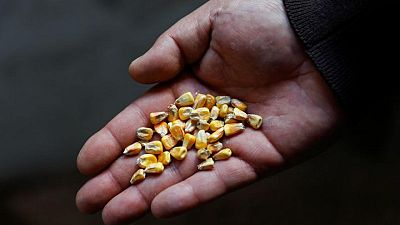 Explainer-Ukraine looks for ways to get its grain out