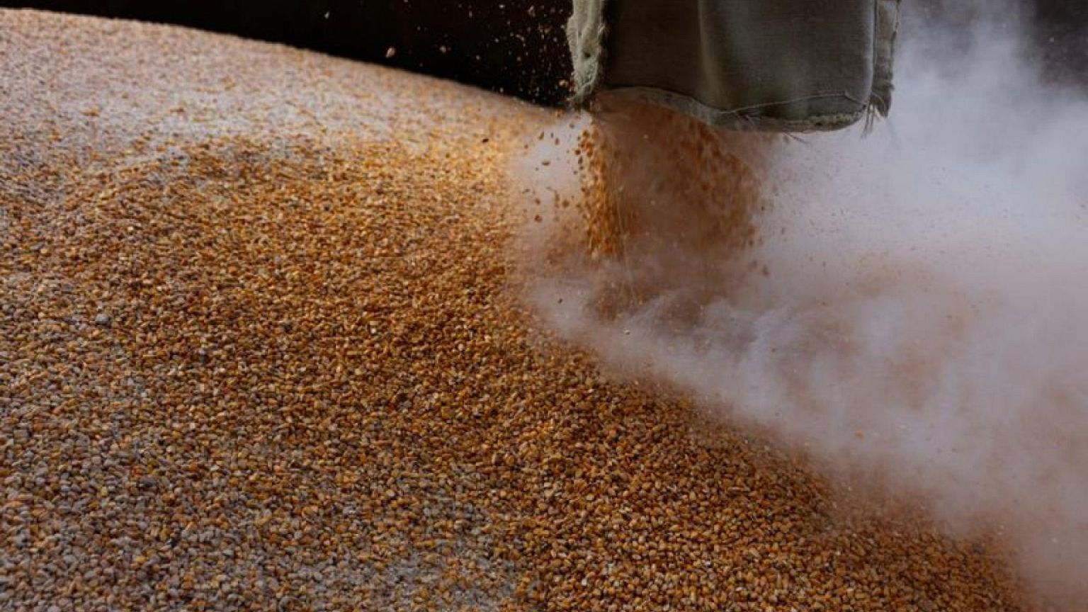 High hopes Lavrov visit to Turkey unlocks Ukraine grain exports, Turkish source says