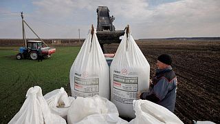 Cosecha de trigo invierno en zona controlada por Ucrania se estima en 20,1 millones toneladas en 2022