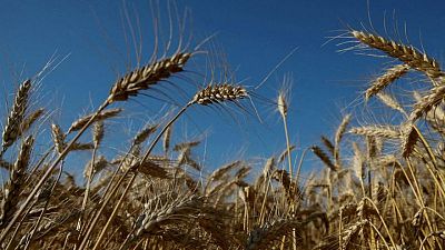 ONU mantuvo conversaciones "constructivas" en Moscú por exportaciones rusas de cereales y fertilizantes