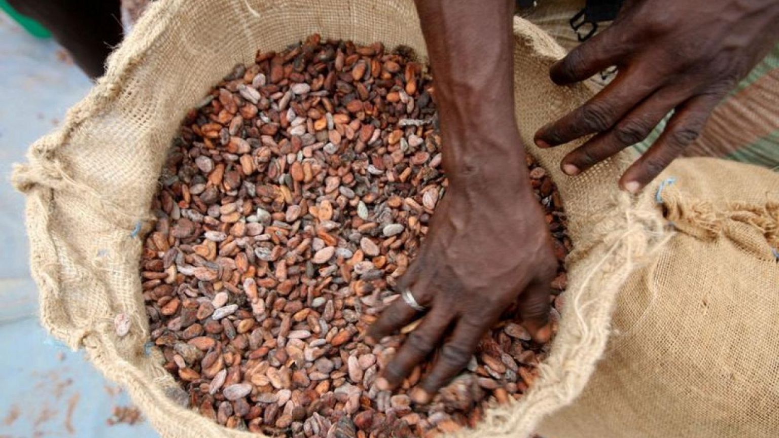 ICCO prevé un déficit mundial de cacao de 174.000 toneladas para 2021/22