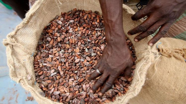 ICCO prevé un déficit mundial de cacao de 174.000 toneladas para 2021/22