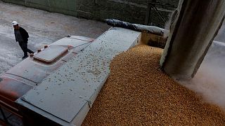 Ukraine grain silos half-full ahead of harvest as exports remain stalled