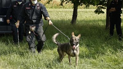 Il discorso del colonnello Milani per la Festa dell'Arma Il discorso del colonnello Milani per la Festa dell'Arma