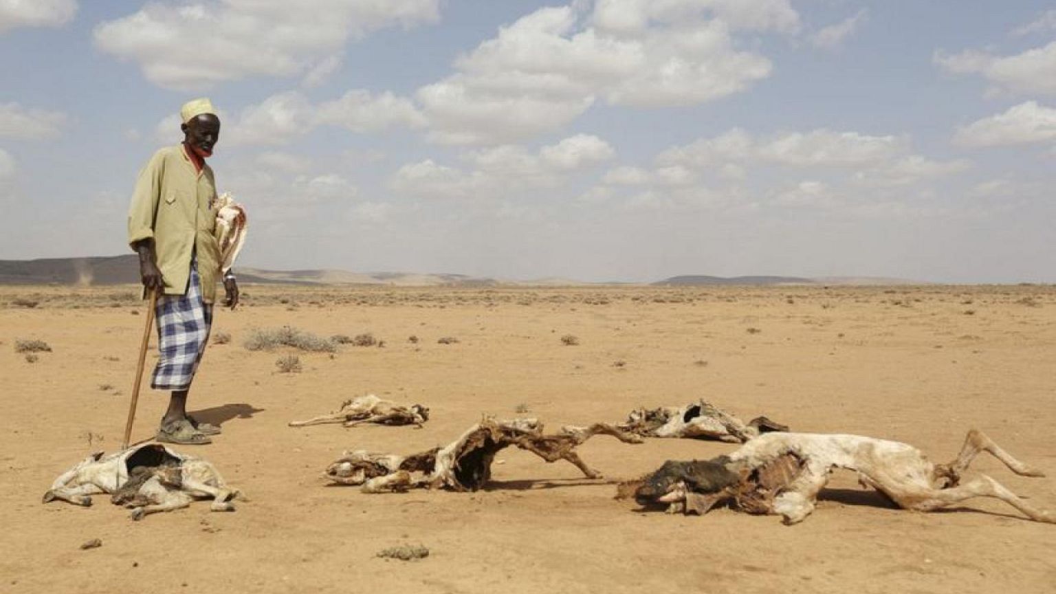 'Widen gaze from Ukraine' to avert famine in Somalia, U.N. agency warns