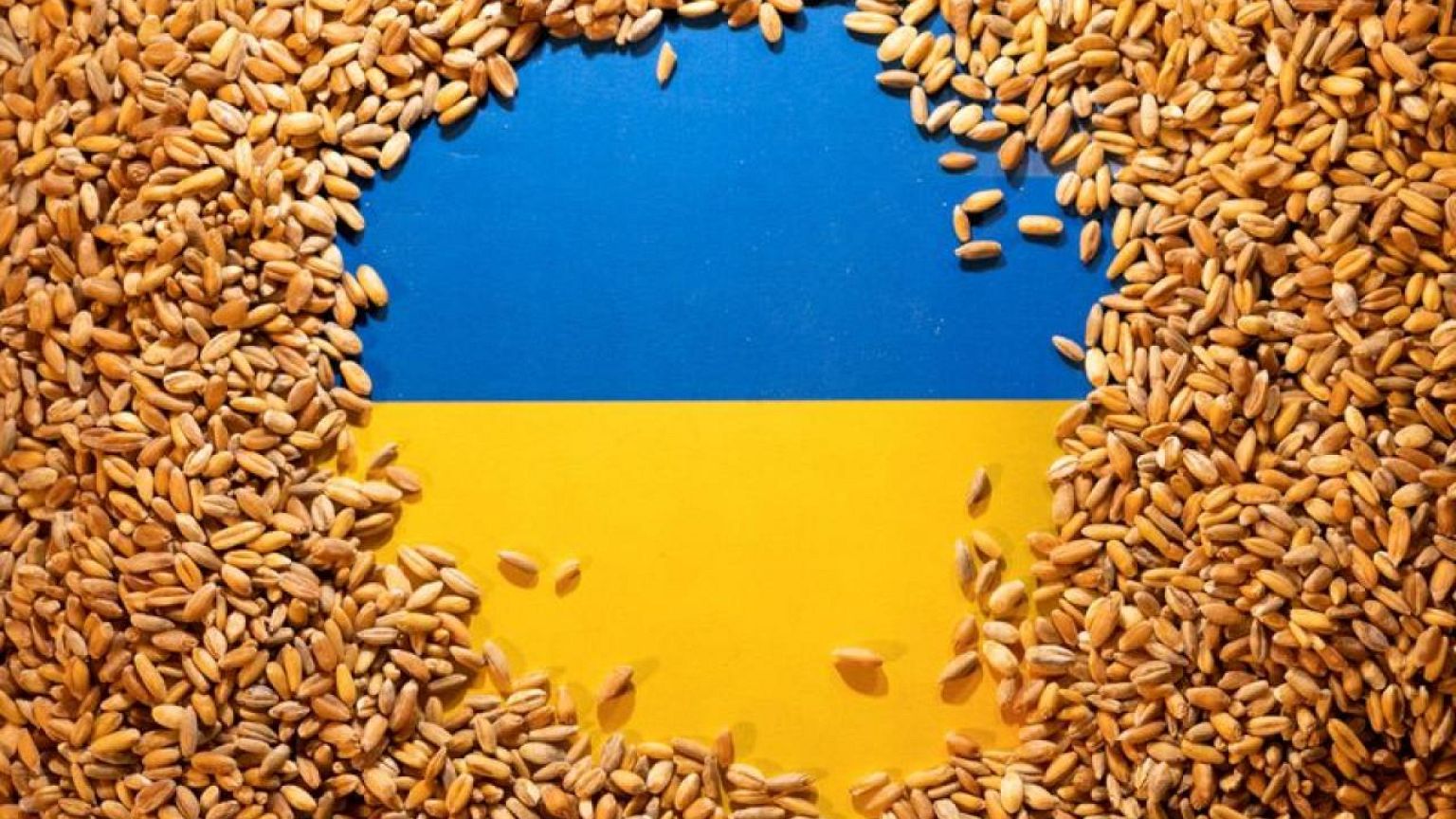 Ukraine grain exports capped at 2 million tonnes/month if ports remain blocked