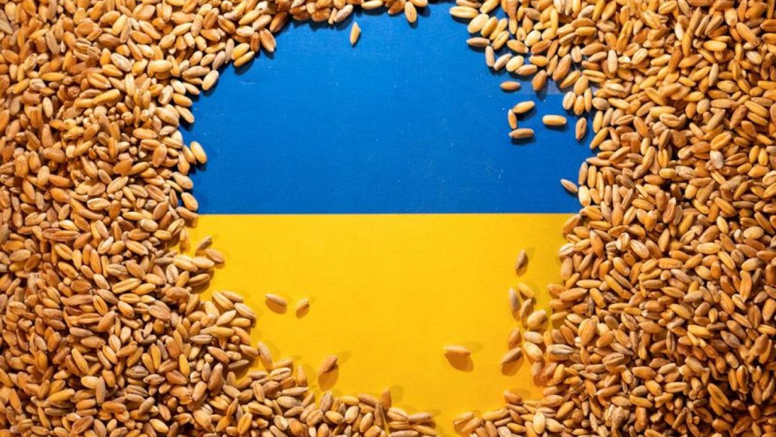 Rusia ha robado 600.000 toneladas de grano, según productores ucranianos
