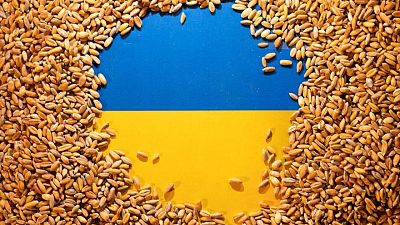 Rusia ha robado 600.000 toneladas de grano, según productores ucranianos