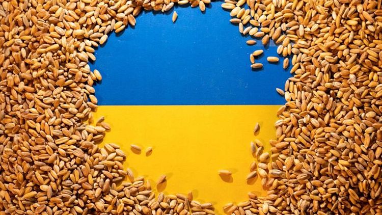 Rusia ha robado 600.000 toneladas de grano, según productores ucranianos