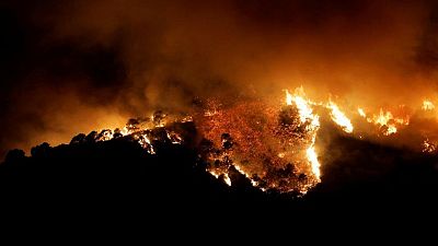 Un incendio forestal en el sur de España obliga a evacuar un pueblo y deja tres heridos