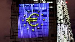 Euro zone to avoid recession, growth to accelerate in Q3 - ECB survey