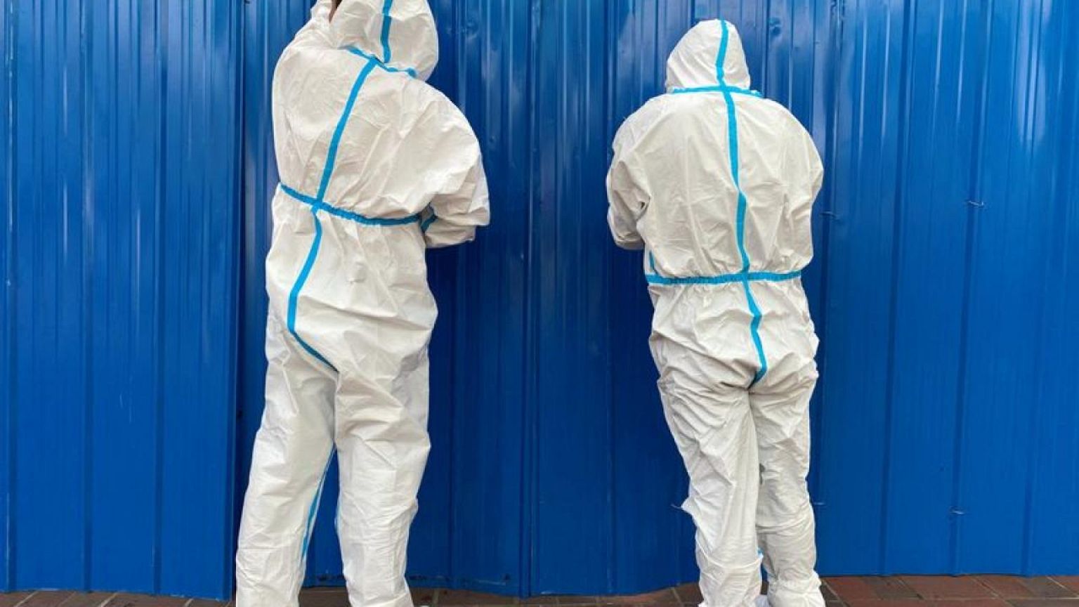 Pandemic's origins obscured by lack of Chinese data - WHO panel