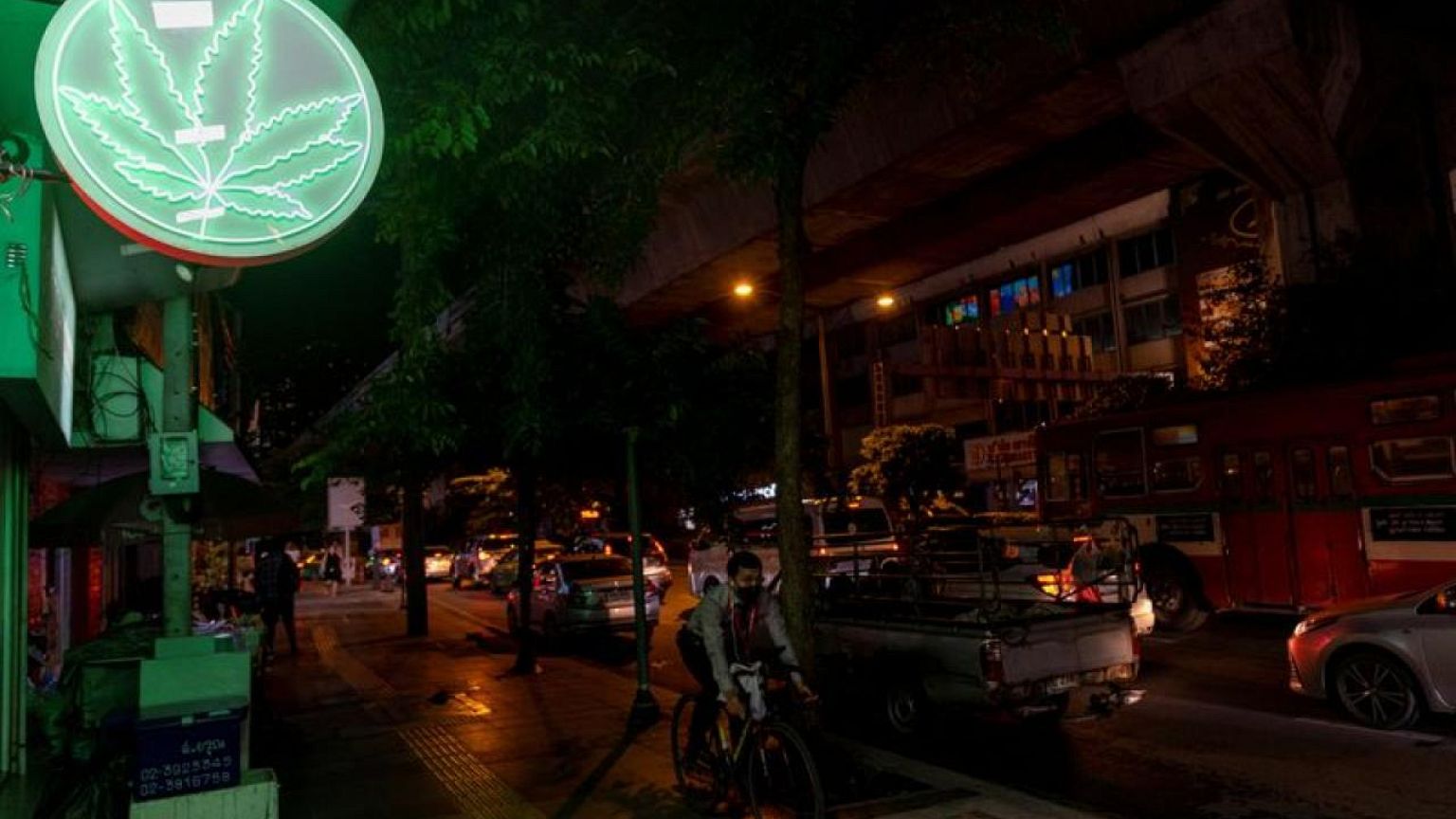 Thailand starts million-plant cannabis giveaway, but discourages getting high