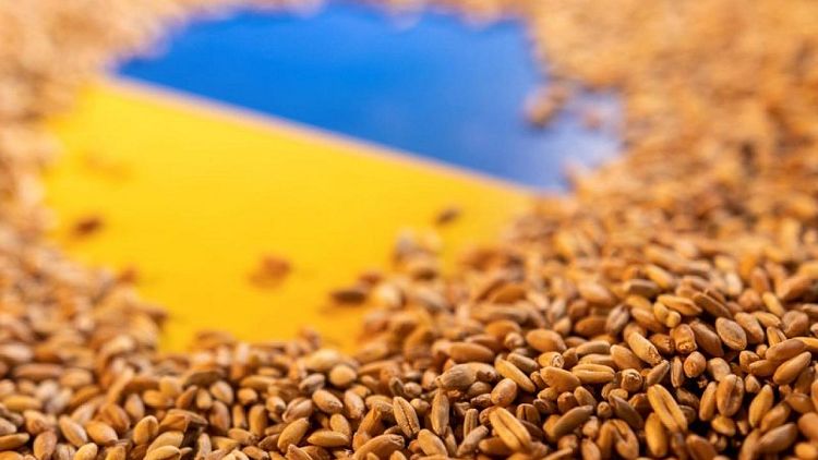 Líder separatista prorruso dice envíos de grano y metales podrían salir pronto de Mariúpol: Interfax
