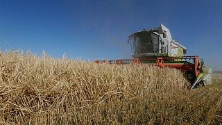 أوكرانيا تتوقع هبوطا حادا في محصول الحبوب بعد الغزو الروسي